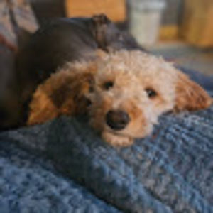 Meet your Posher, Alexandra